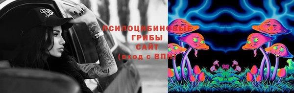сатива Приозерск