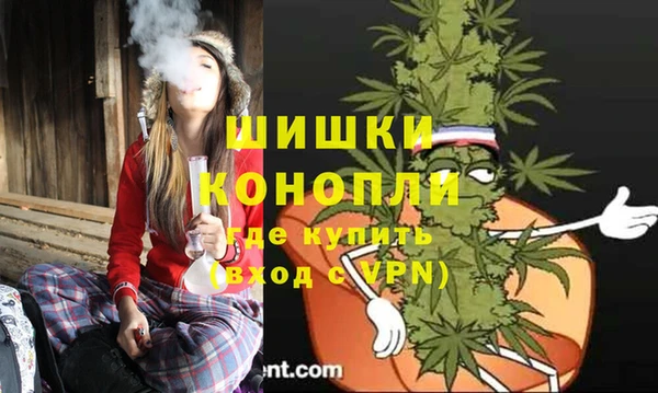 ГАЛЛЮЦИНОГЕННЫЕ ГРИБЫ Баксан