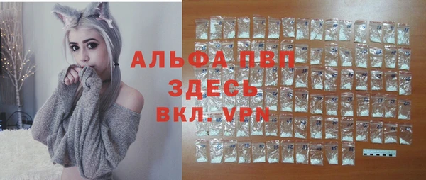 ГАЛЛЮЦИНОГЕННЫЕ ГРИБЫ Баксан