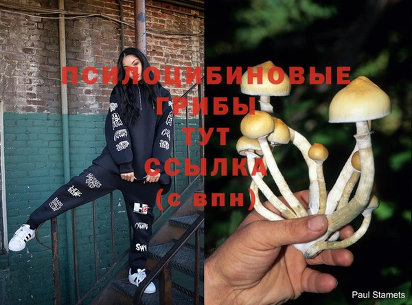 ГАЛЛЮЦИНОГЕННЫЕ ГРИБЫ Баксан